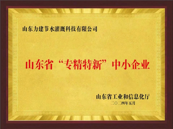 專精特新企業(yè)
